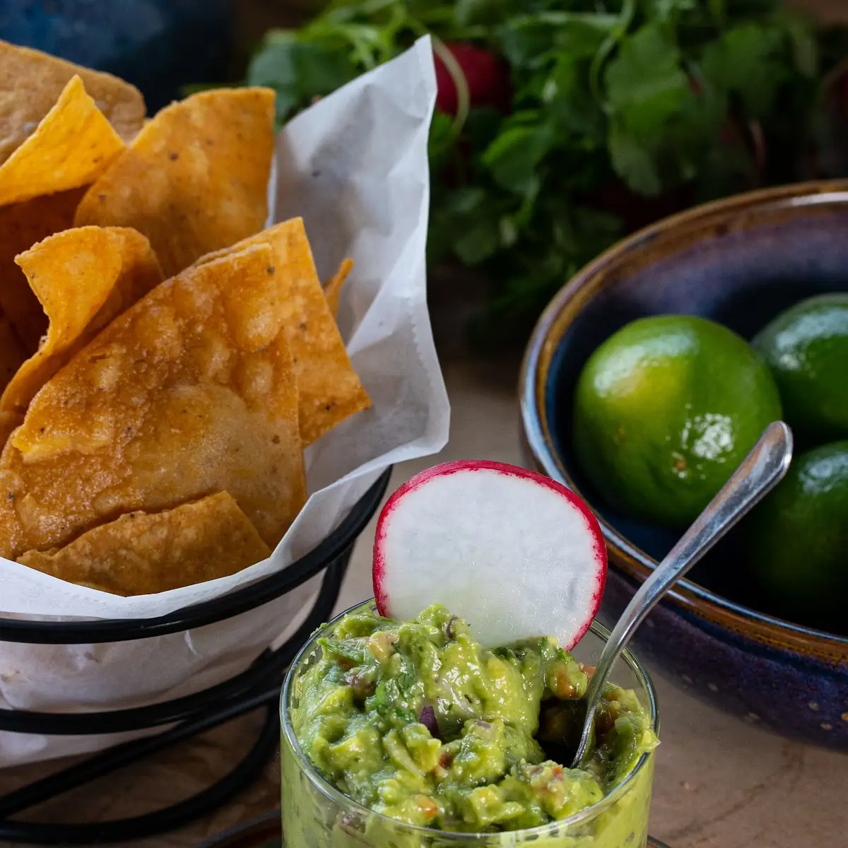 Guacamole Chips and Salsa