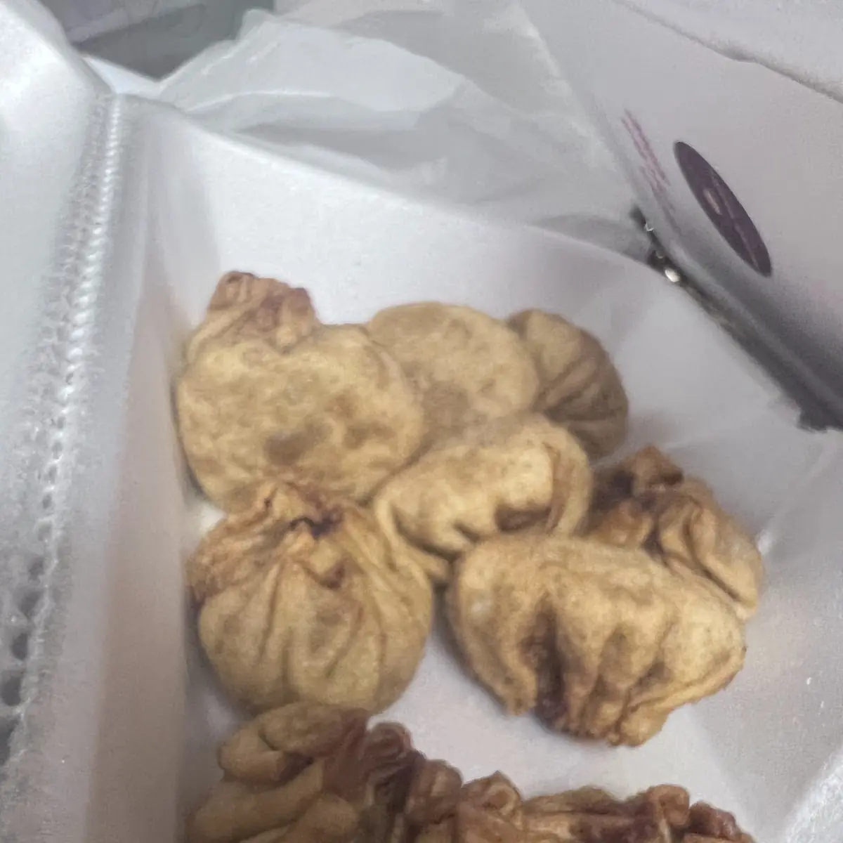 Fried Dumplings