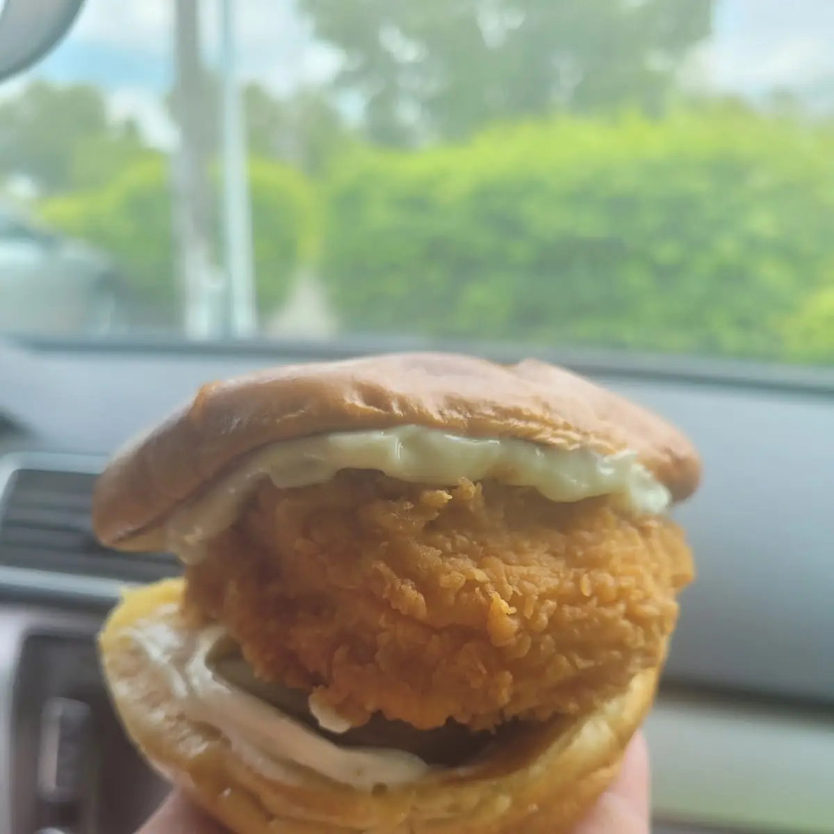 The Chicken Sandwich Combo