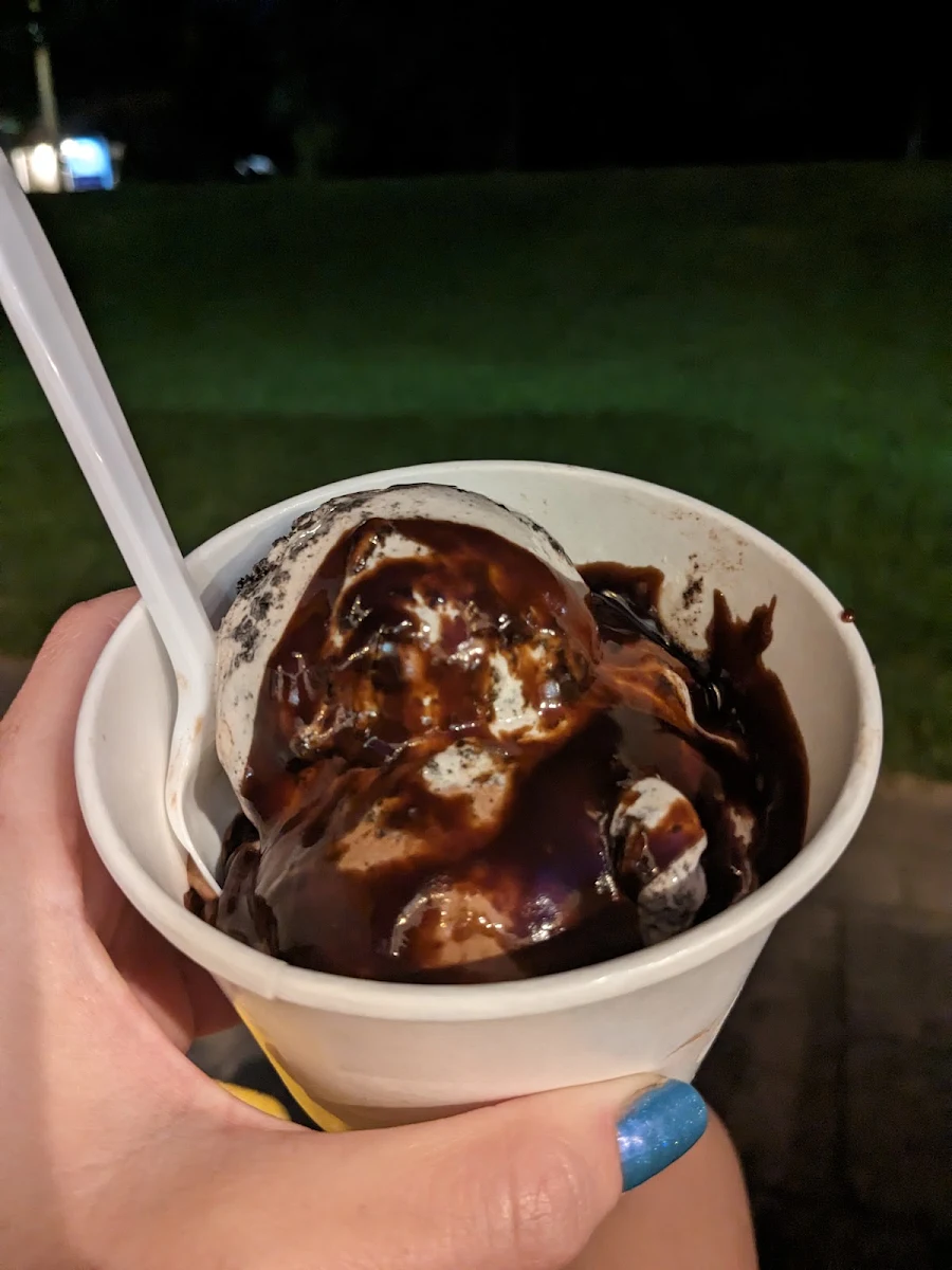 Two Scoops with Hot Fudge