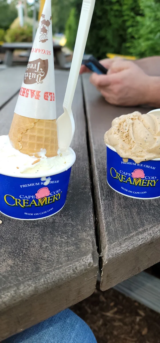 Vanilla Bean Icecream