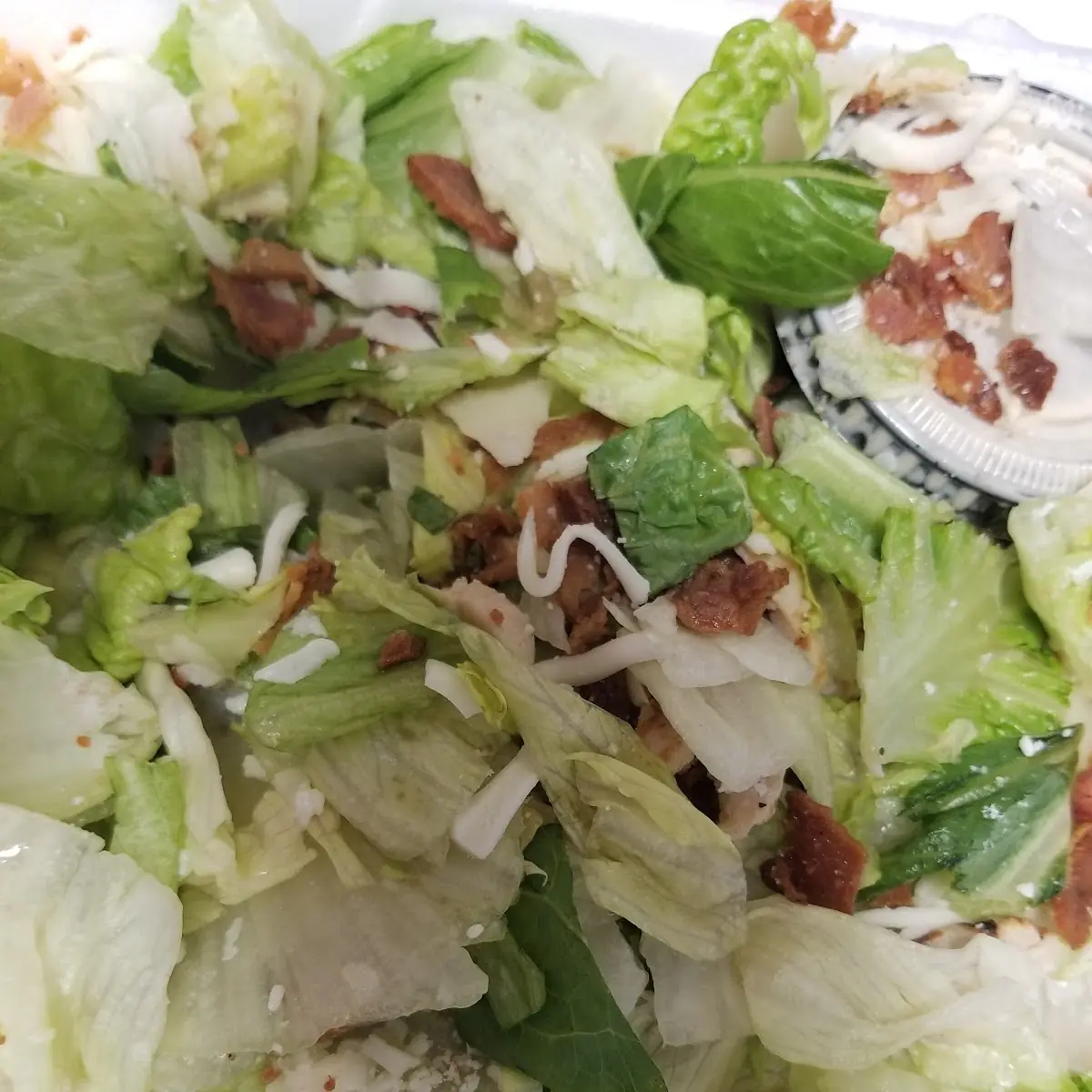 Chicken Caesar Salad