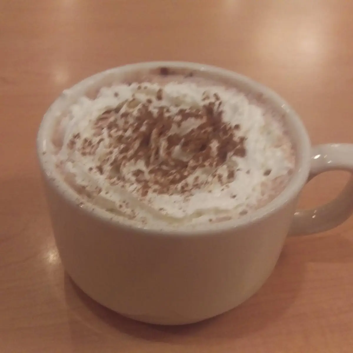 Toasted Marshmallow Hot Chocolate