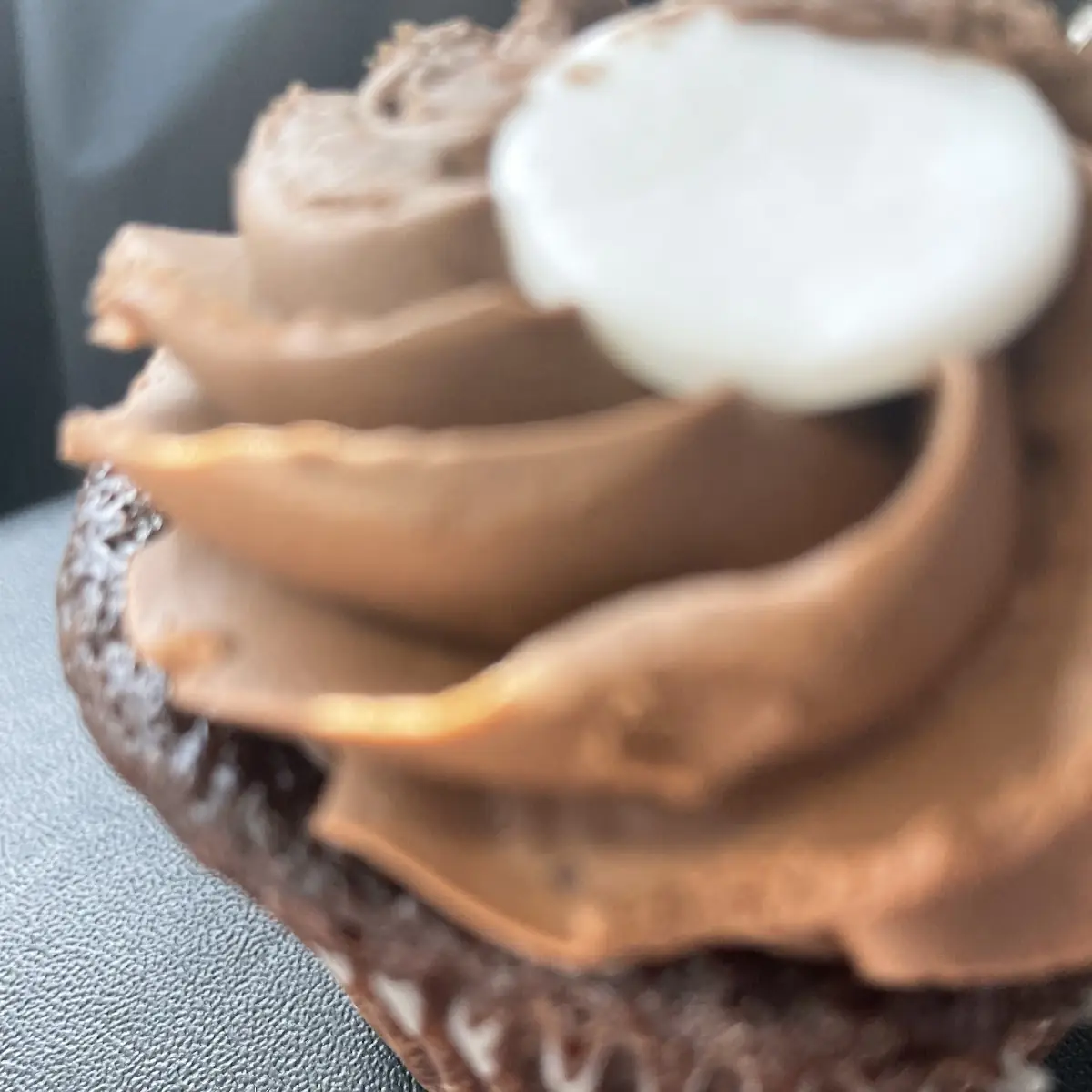 Chocolate Cupcake