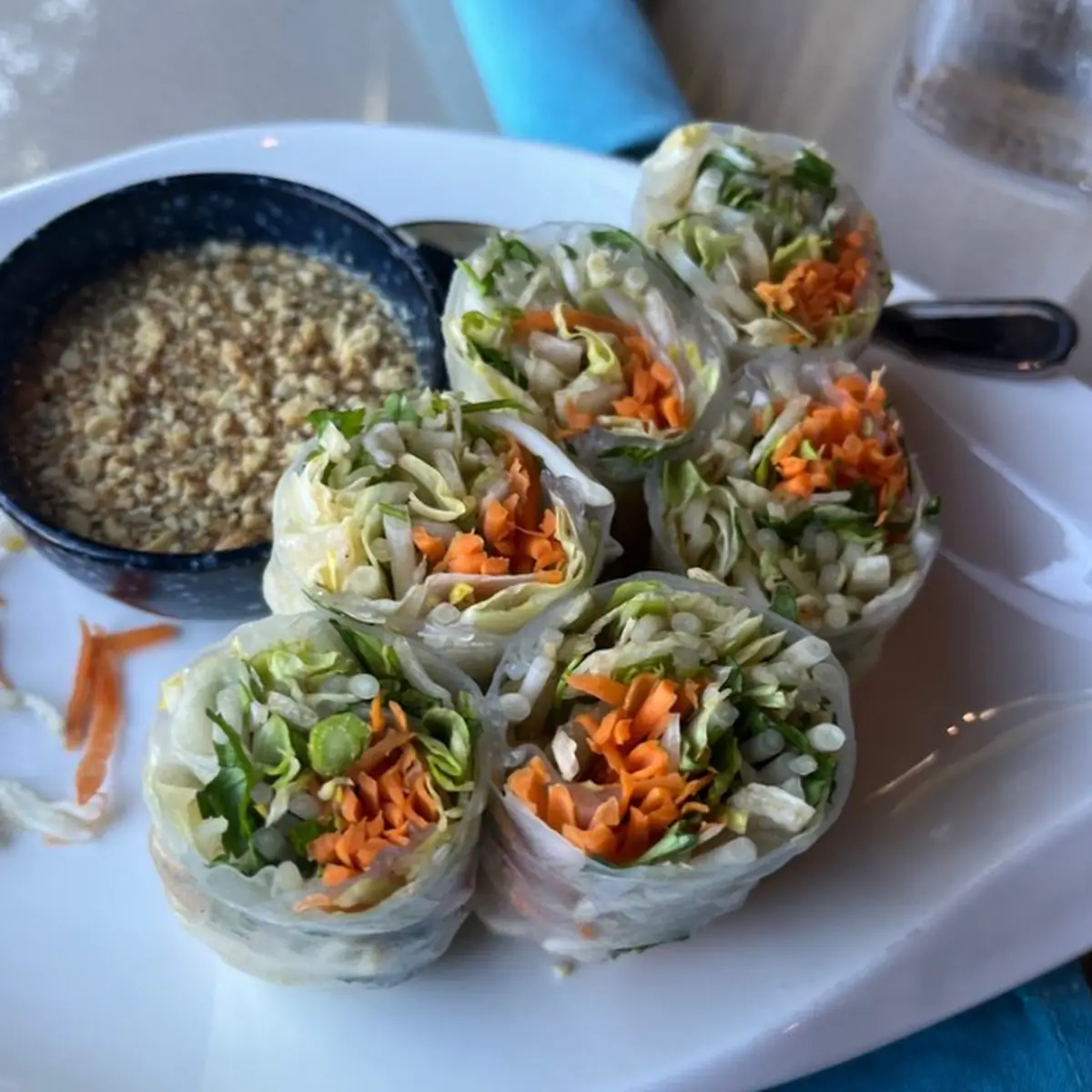 Fresh Spring Rolls