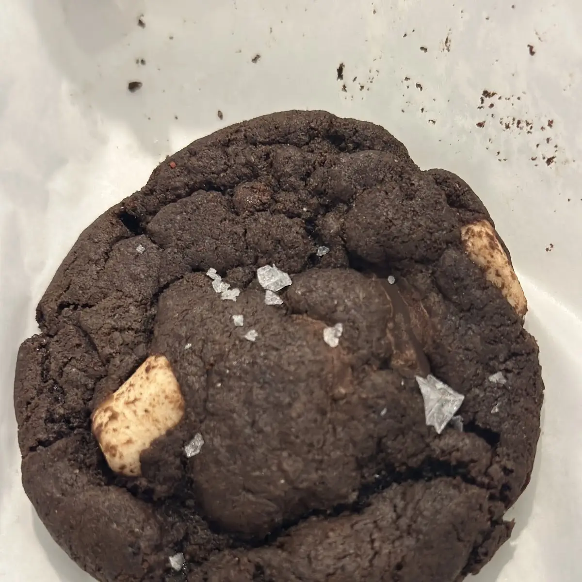 Sea Salt Dark Chocolate and Marshmallow