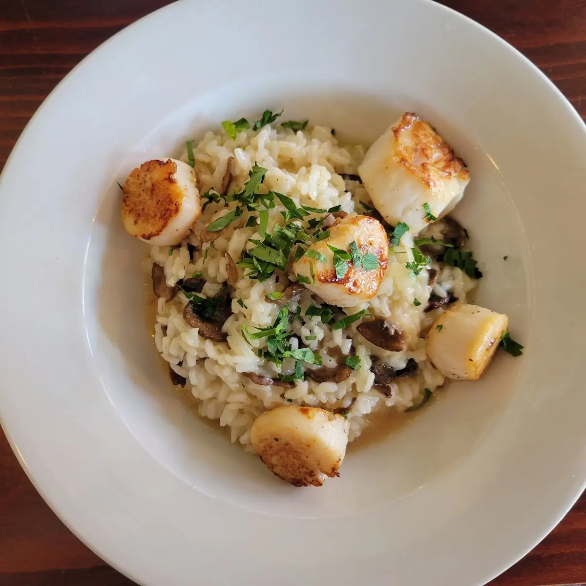 New England Sea Scallops