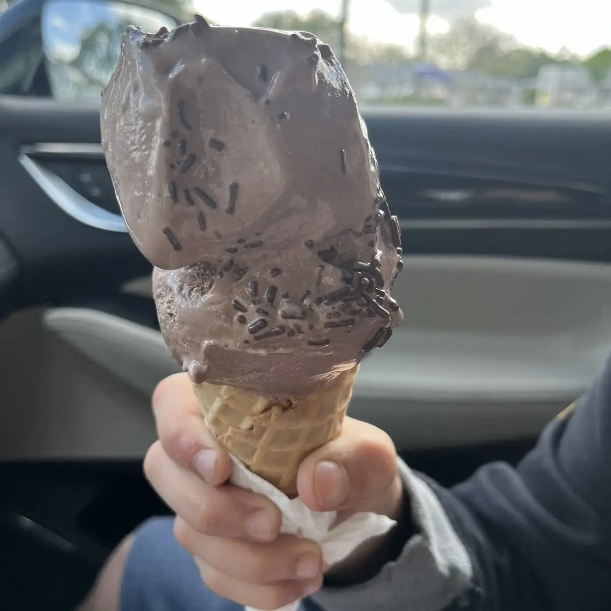 Chocolate Ice Cream