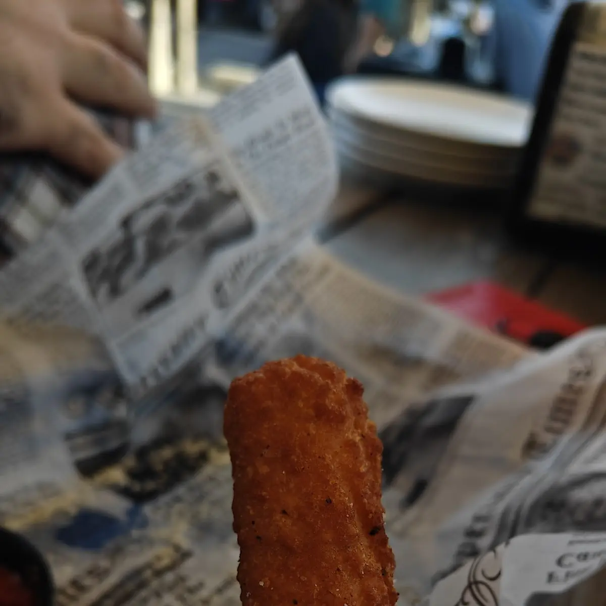 Fried Mozzarella Sticks