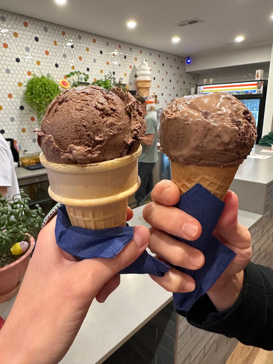 Chocolate Cake Ice Cream