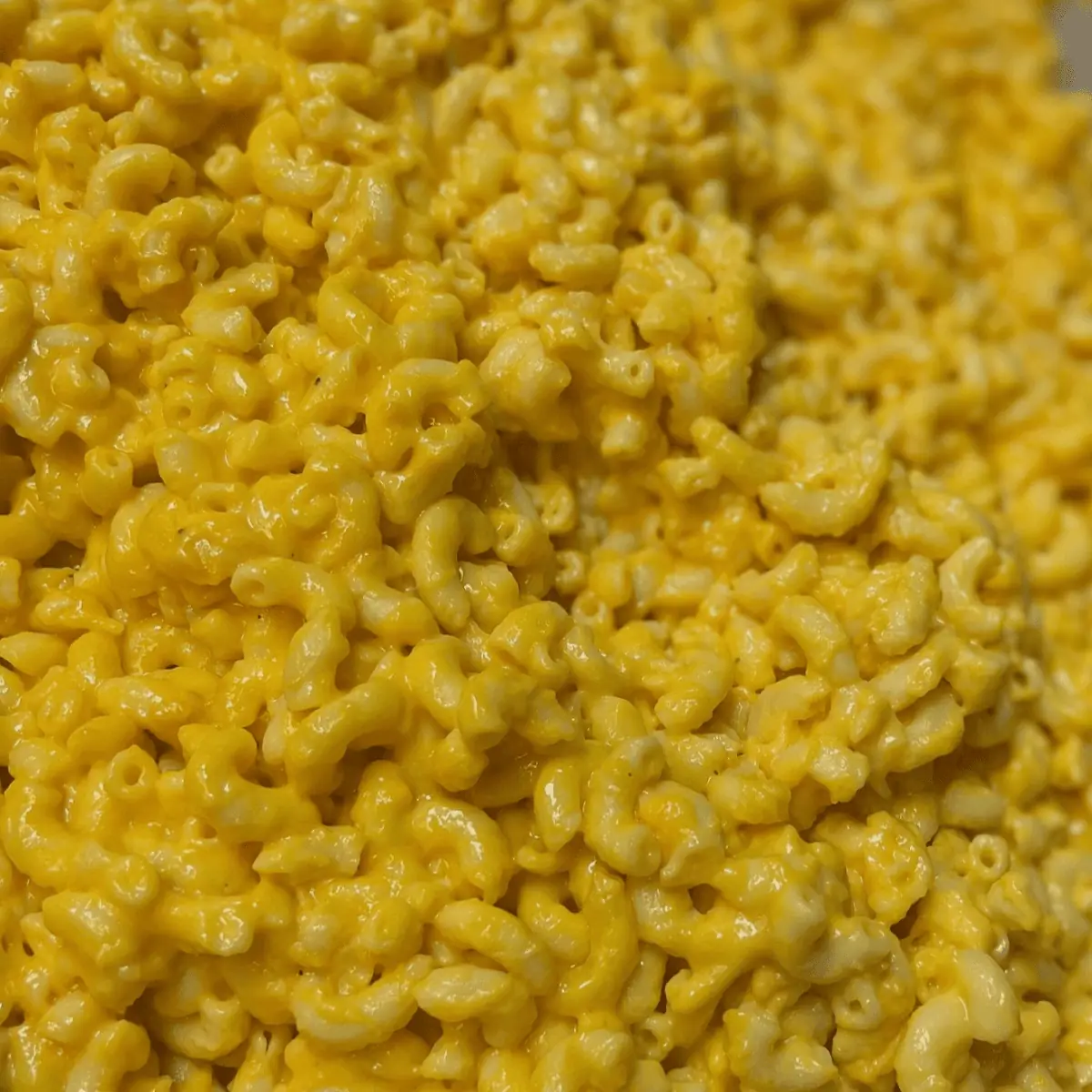 Mac & Cheese