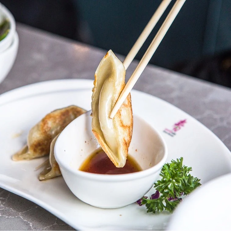 Gyoza, Spring Sushi Toronto (4th Floor)