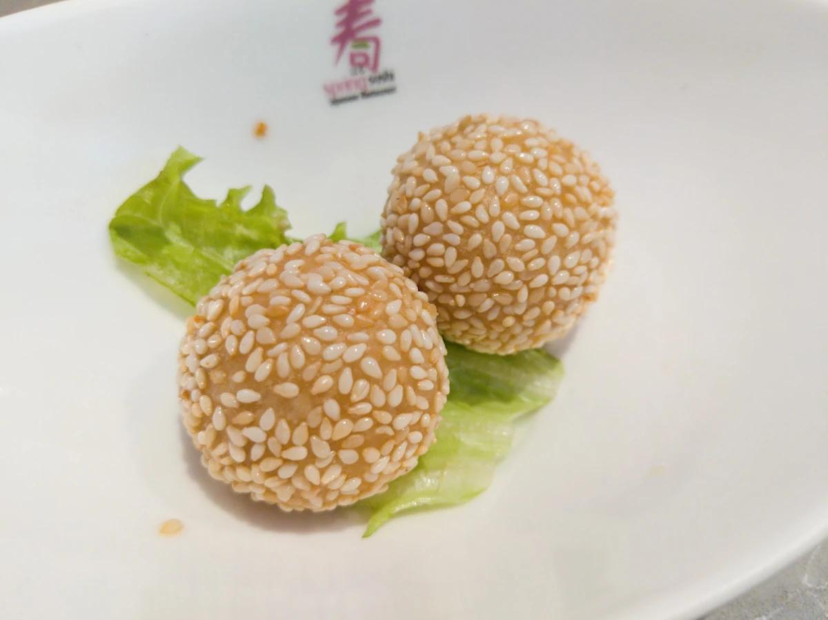 Sesame Balls with Red Bean Filling, Spring Sushi Toronto (4th Floor)