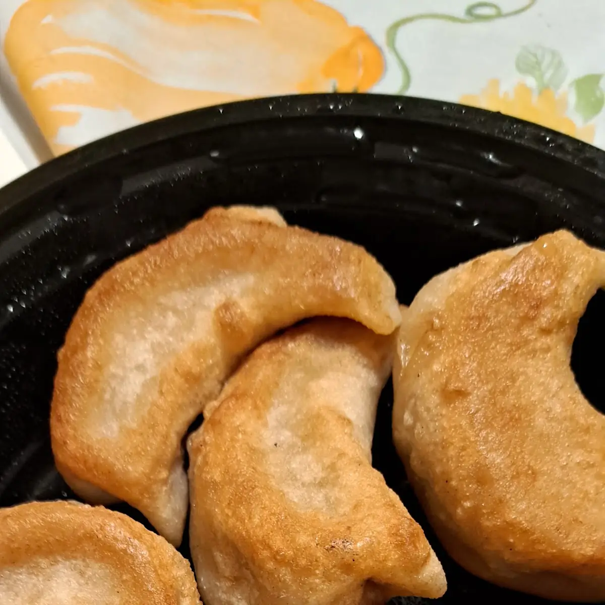 Pan Seared Dumplings