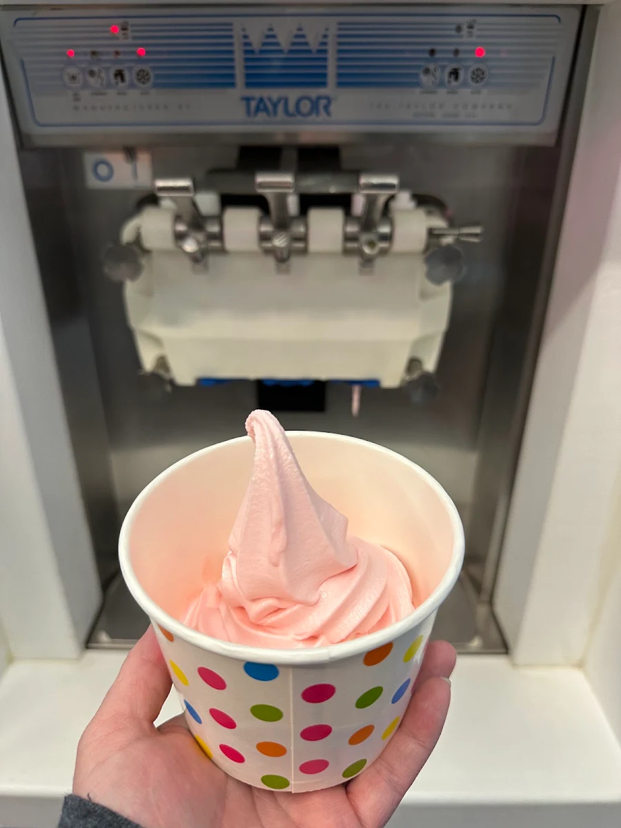 Frozen Yogurt