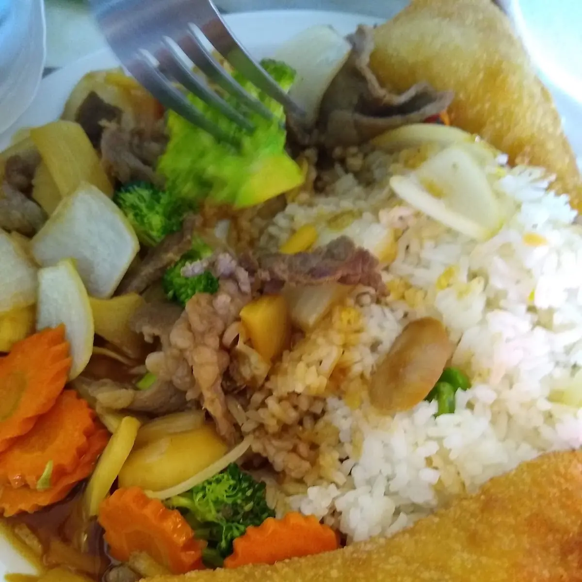 Beef Stir Fried Mixed Vegetables