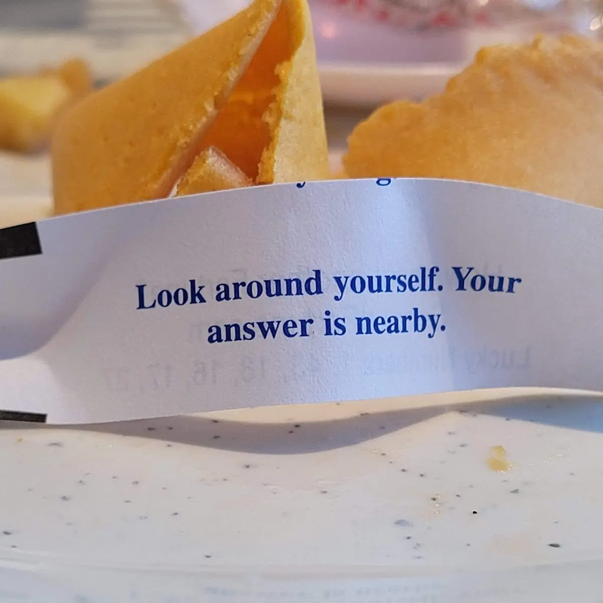 Fortune Cookie