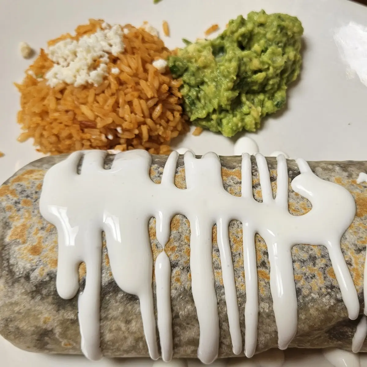 Chicken Burrito Mojado