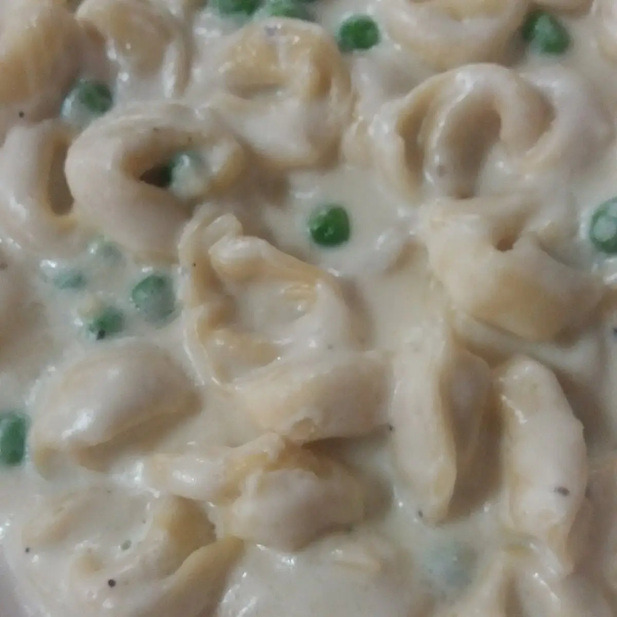 Tortellini Alfredo