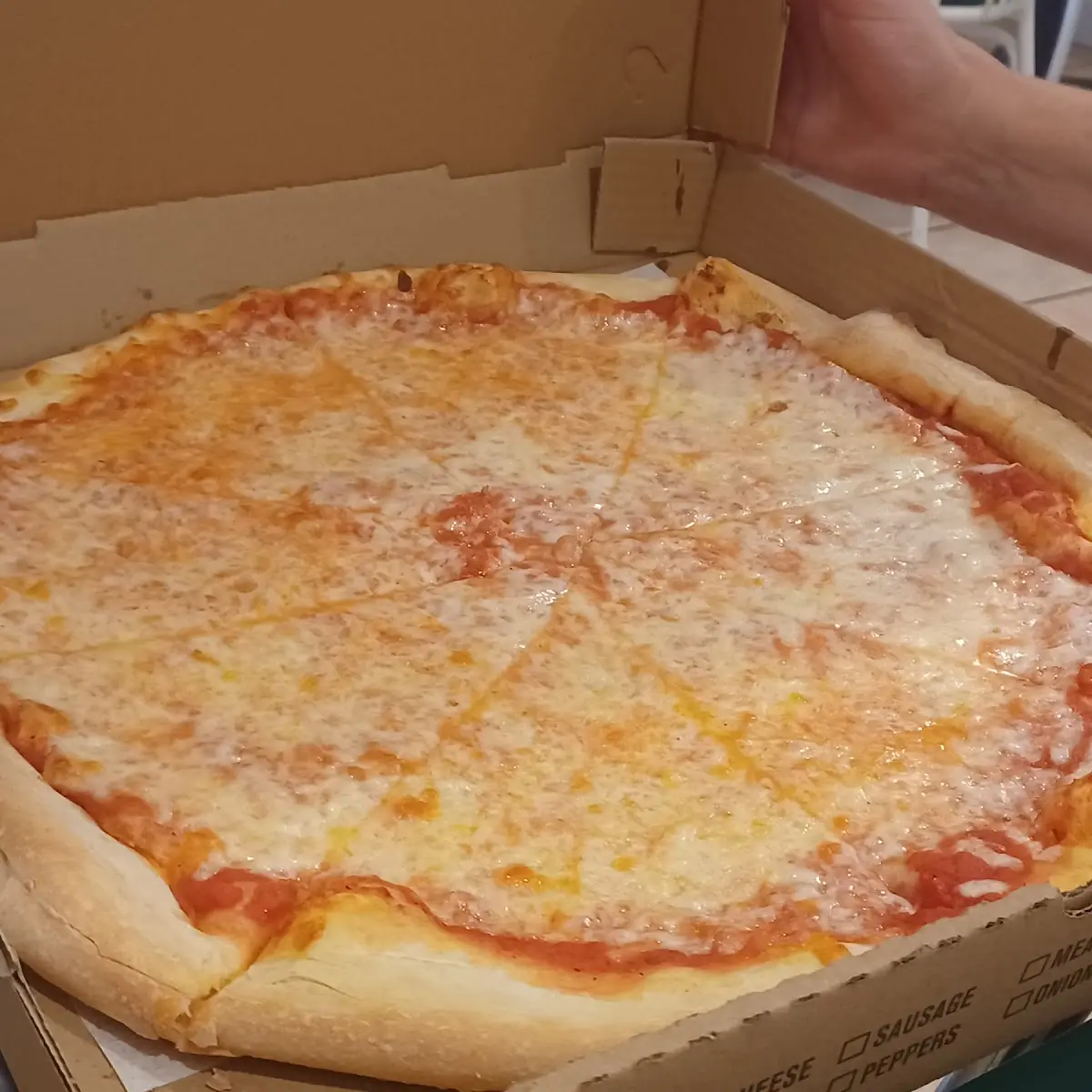 Cheese Pizza