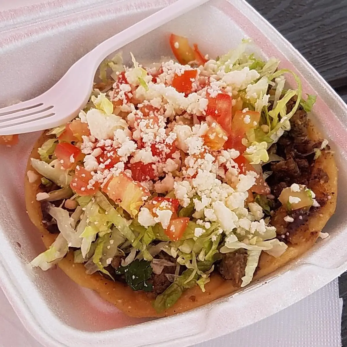 Steak Sopes