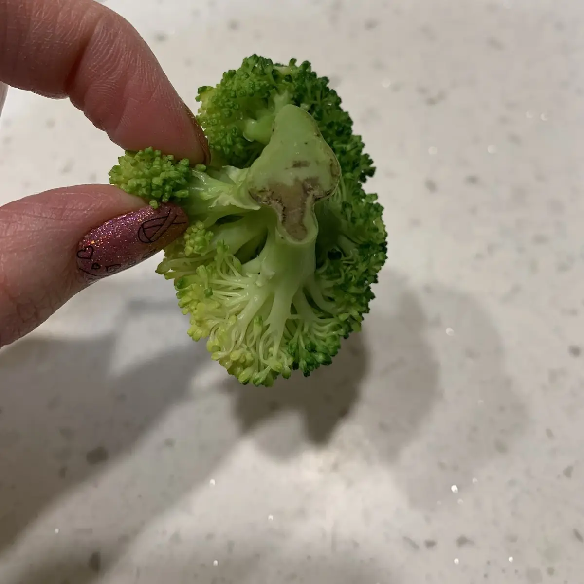Fresh Steamed Broccoli