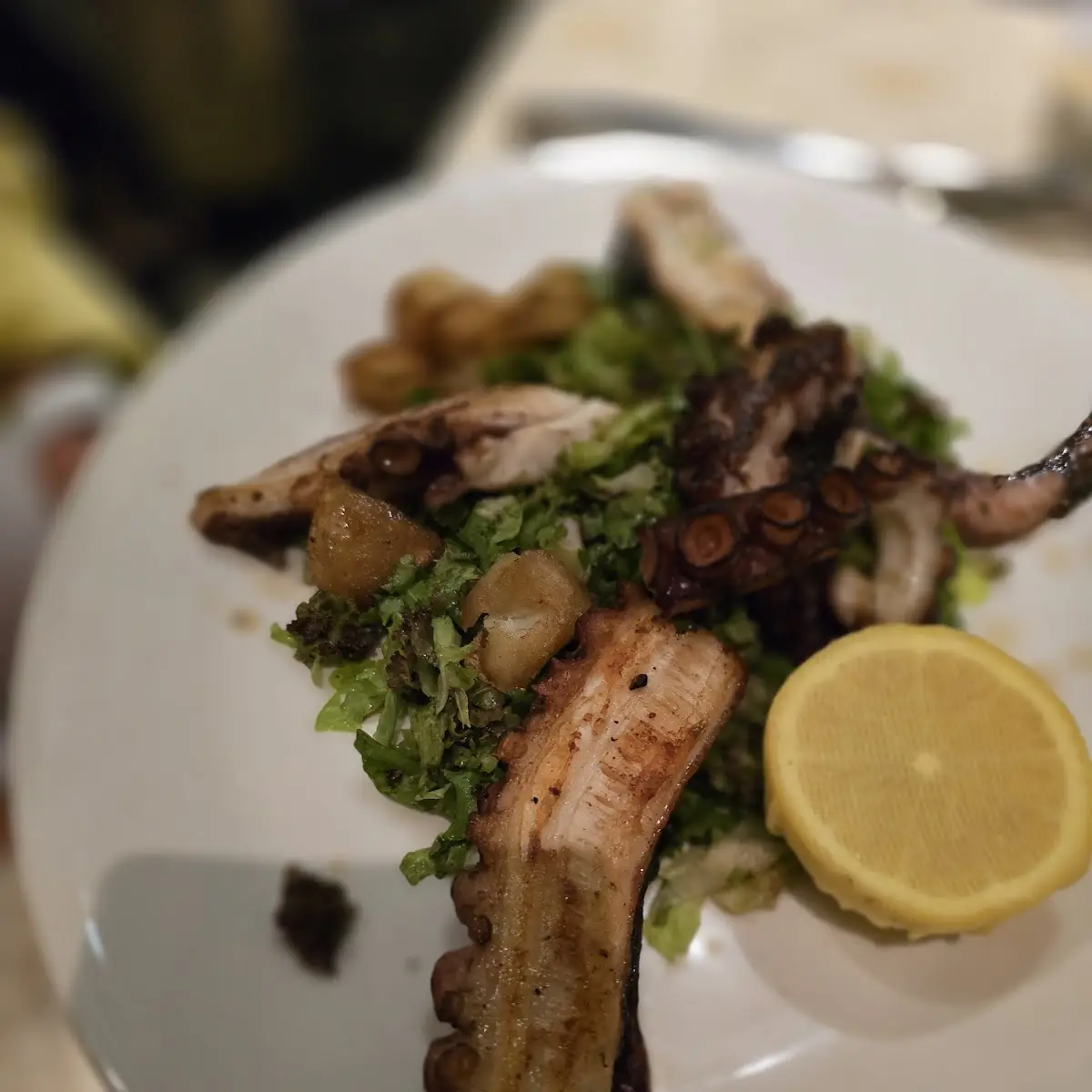 Octopus Salad