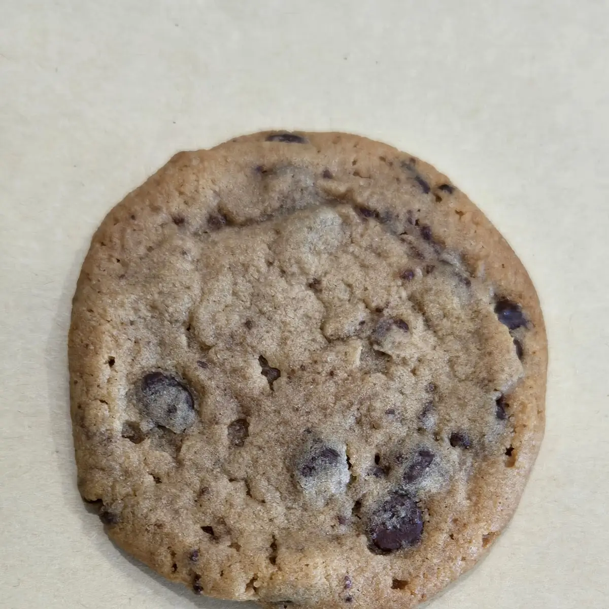 Warm Chocolate Chip Cookie