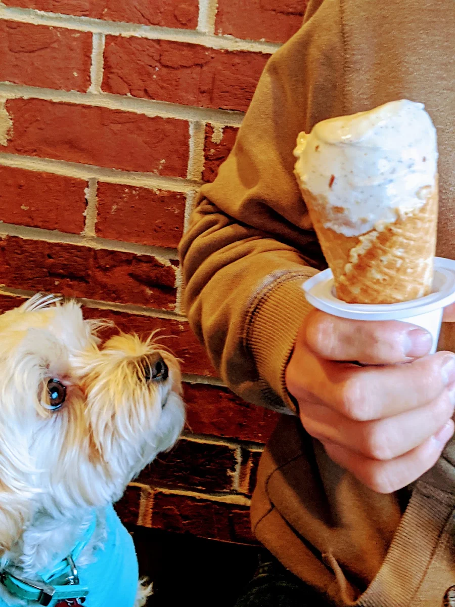 Pecan Caramel Coffee Vanilla Ice Cream