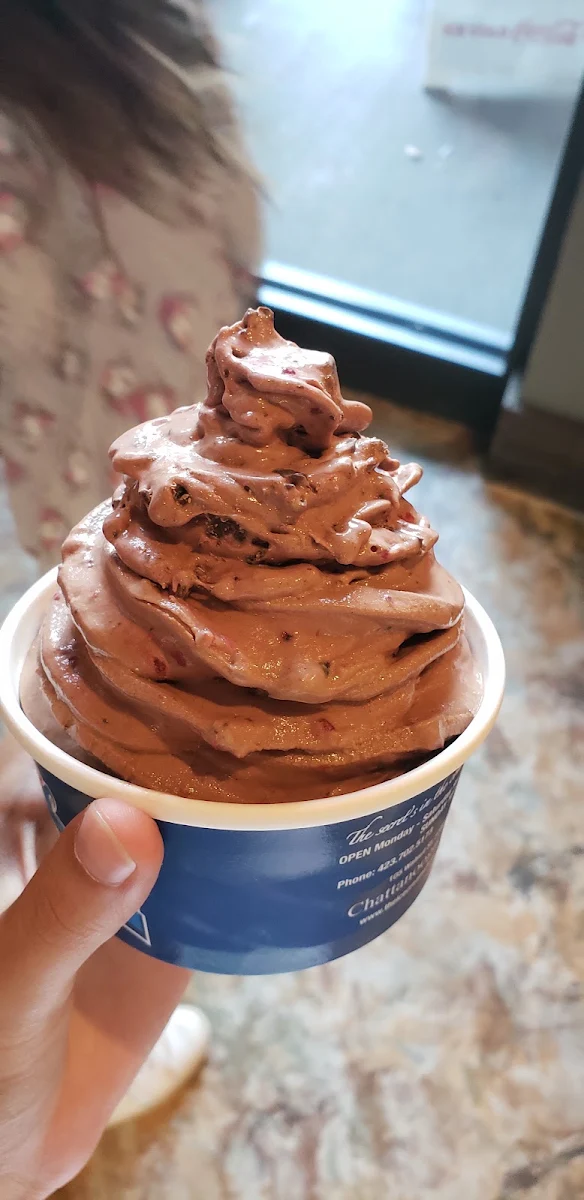 Raspberry Dark Chocolate