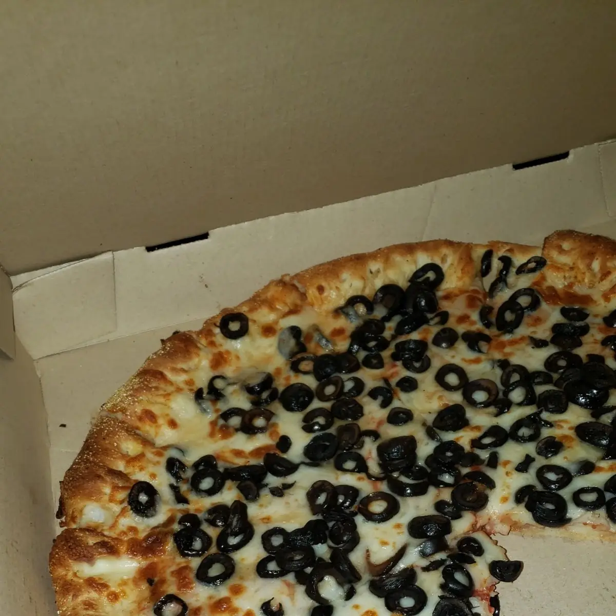 Olive Pizza