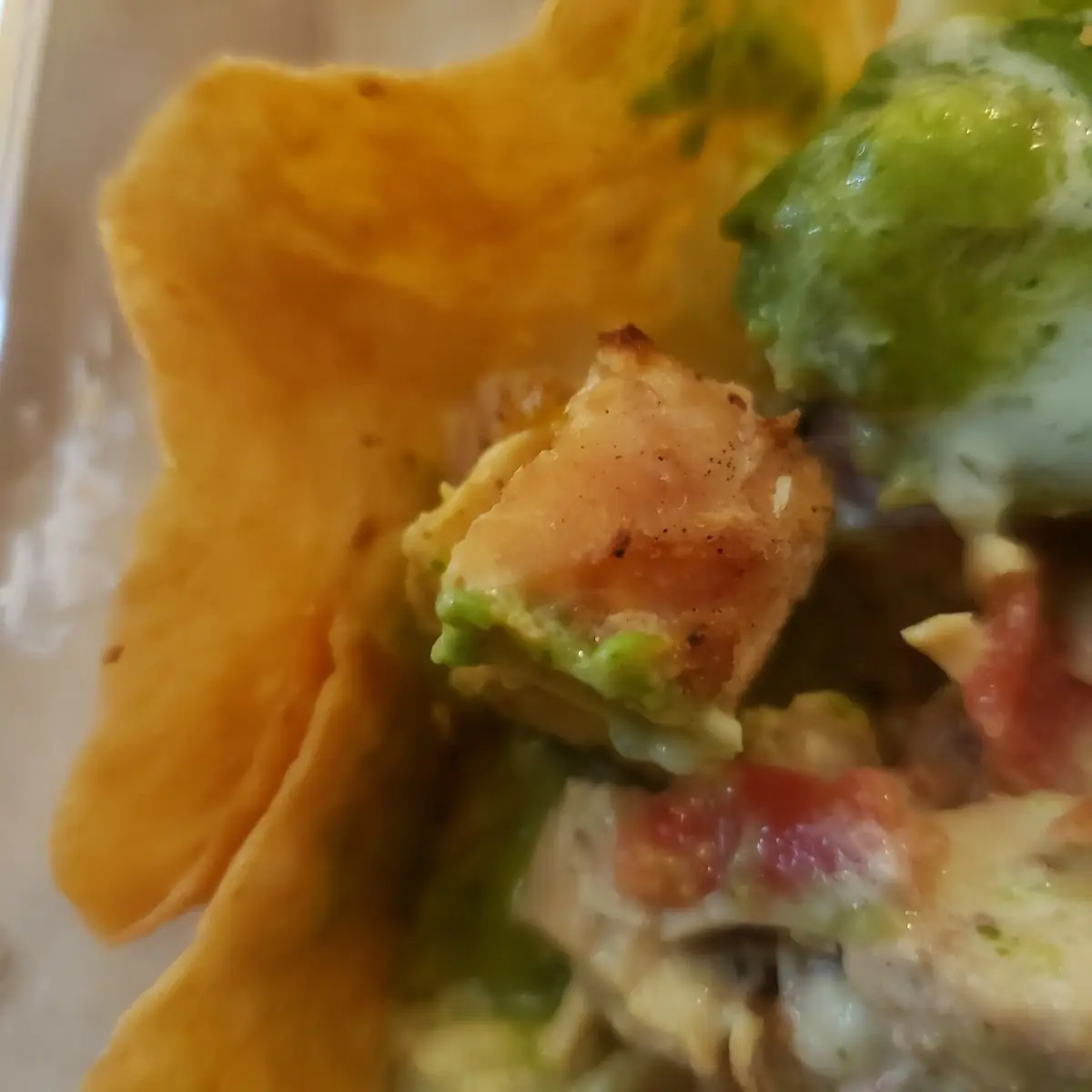 Tostado Salad Gone Wrong