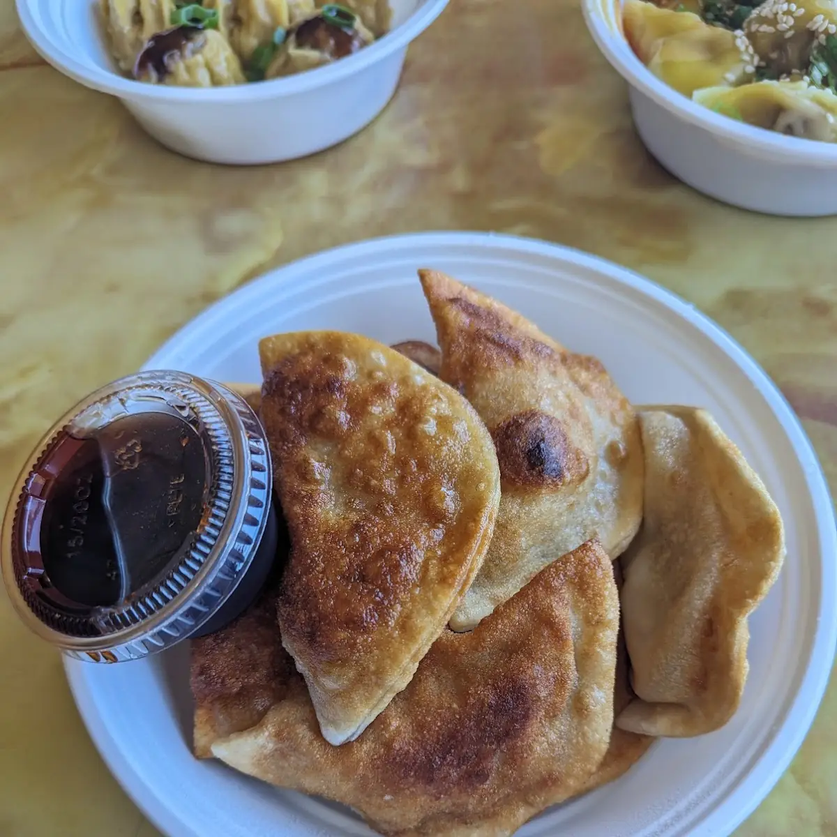 Fried Chicken Dumplings