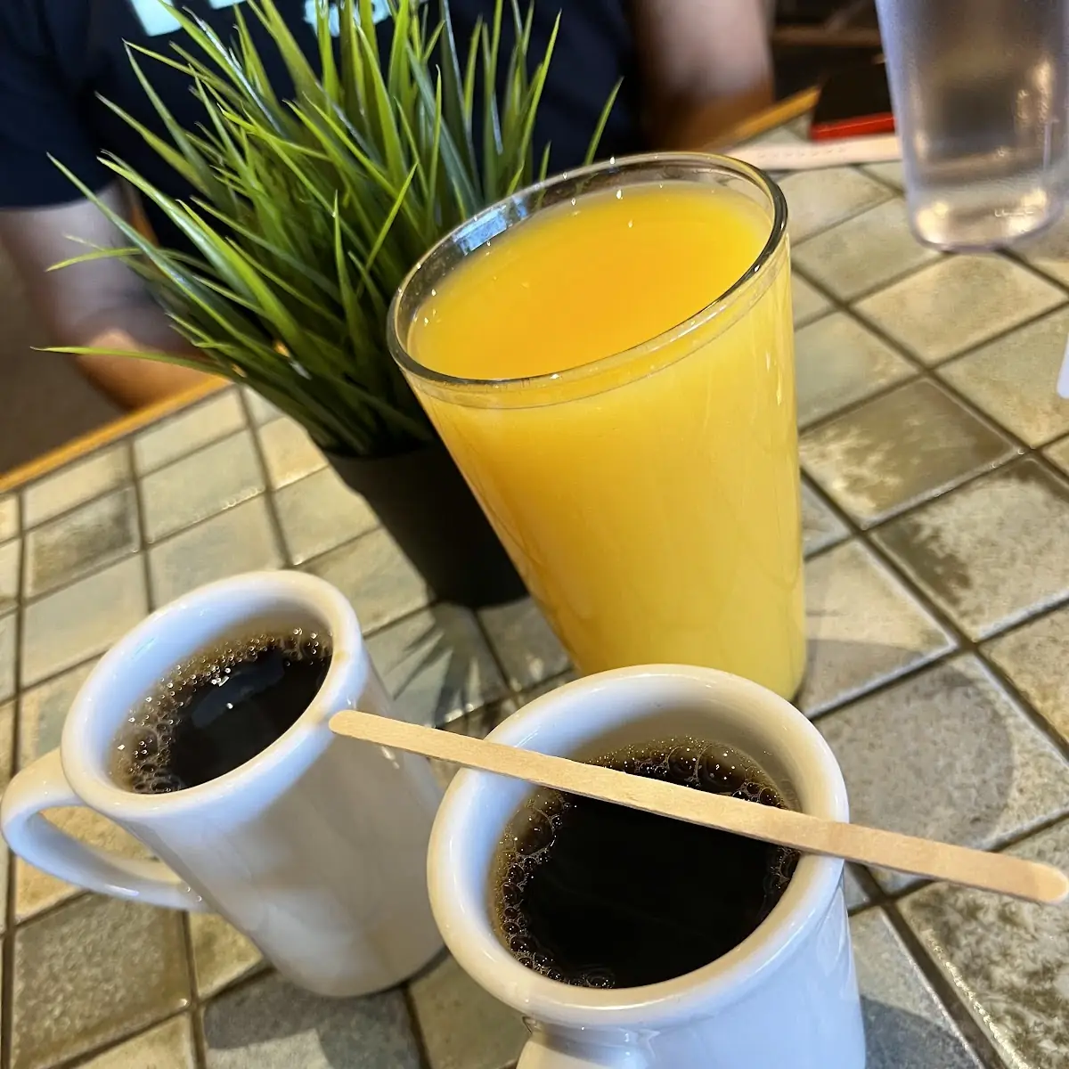 Freshly Squeezed Orange Juice