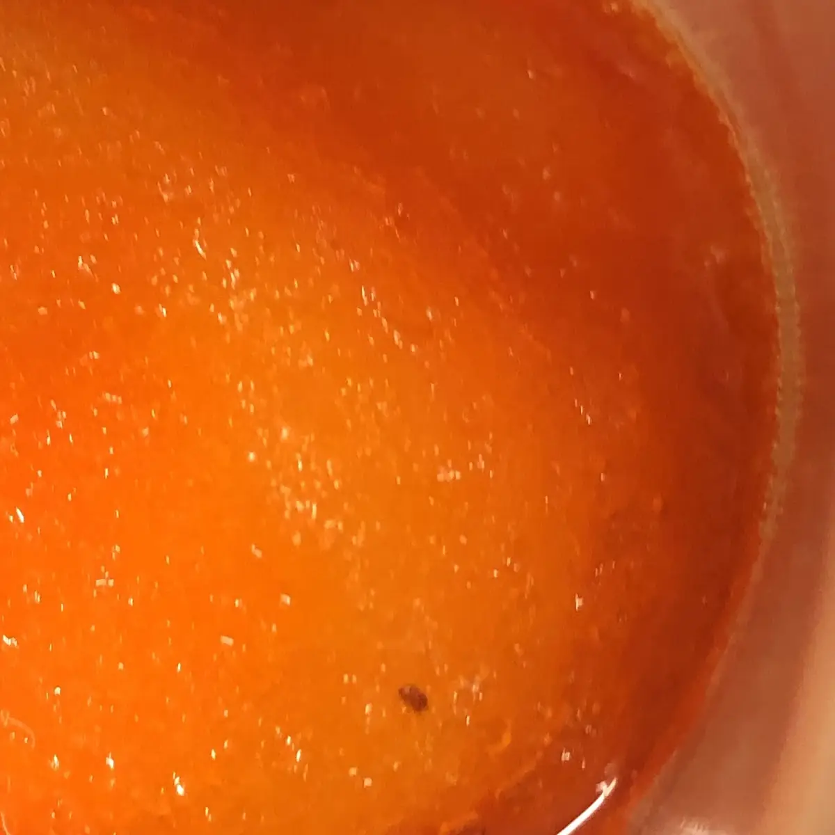 Mango Slush