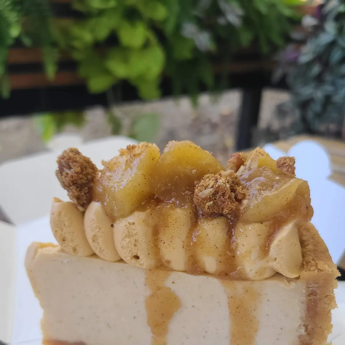 Apple Pie Cheesecake