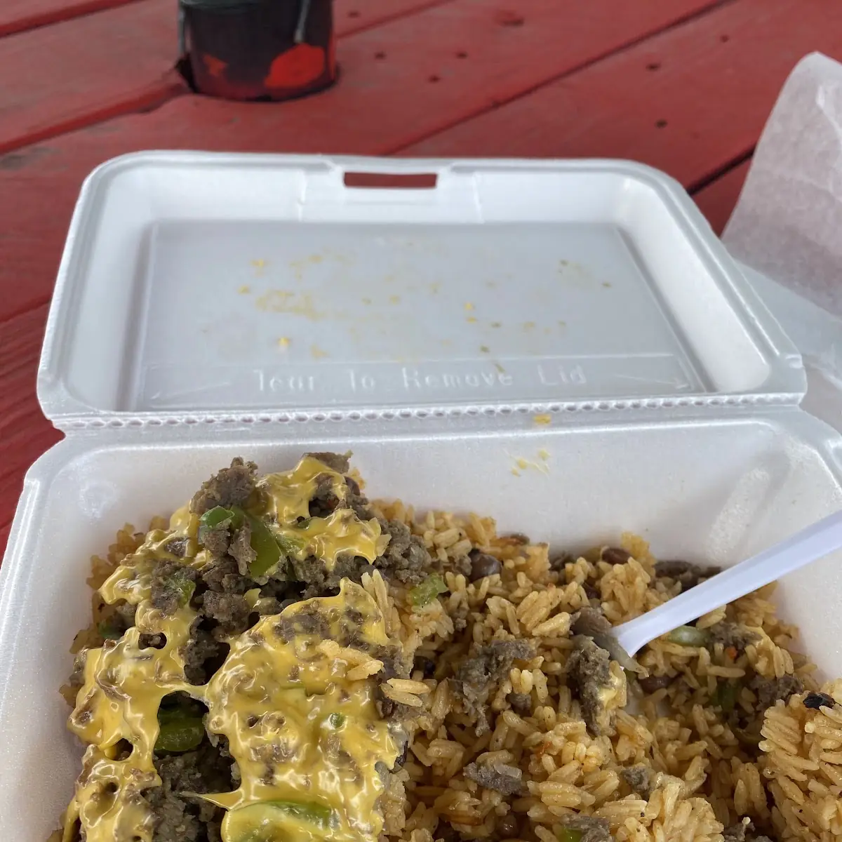 Carne Asada Fries