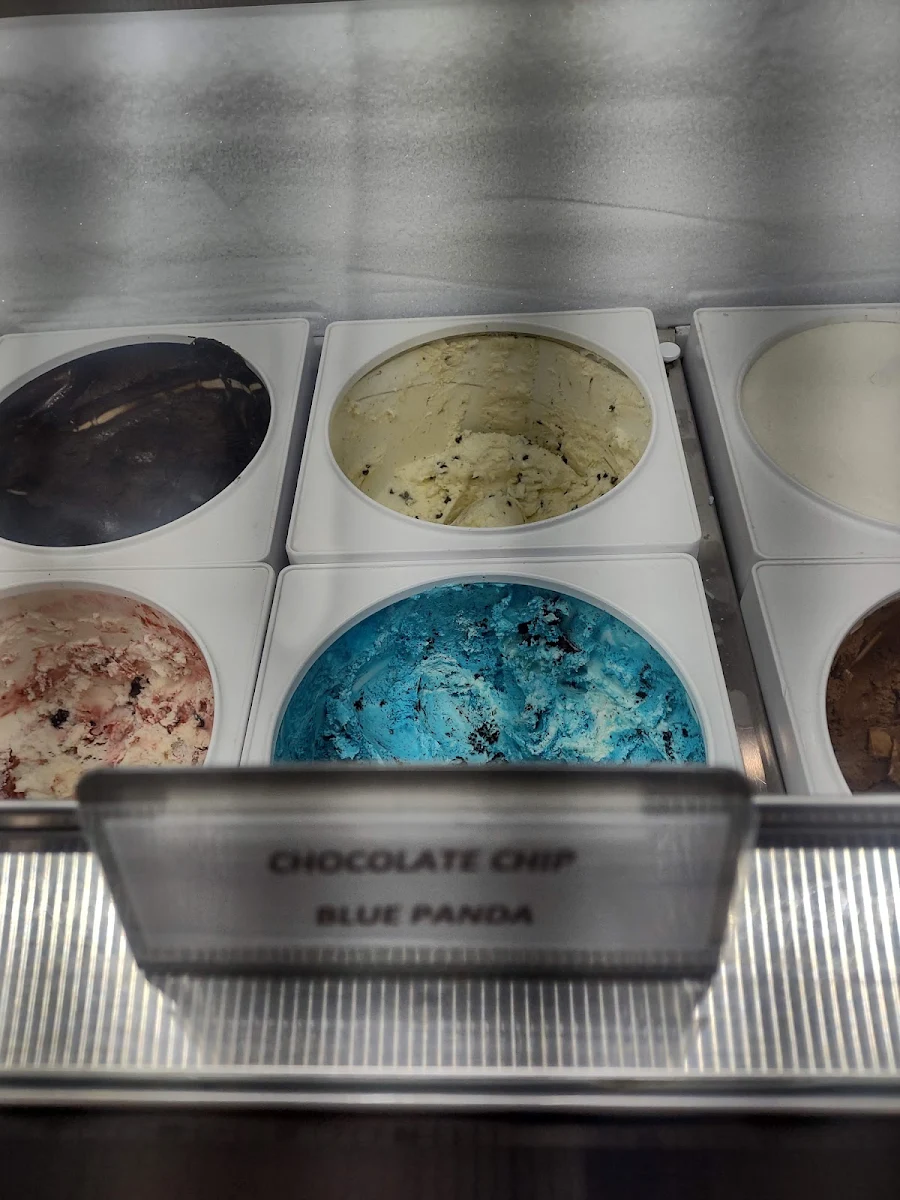 Chocolate Chip Blue Panda