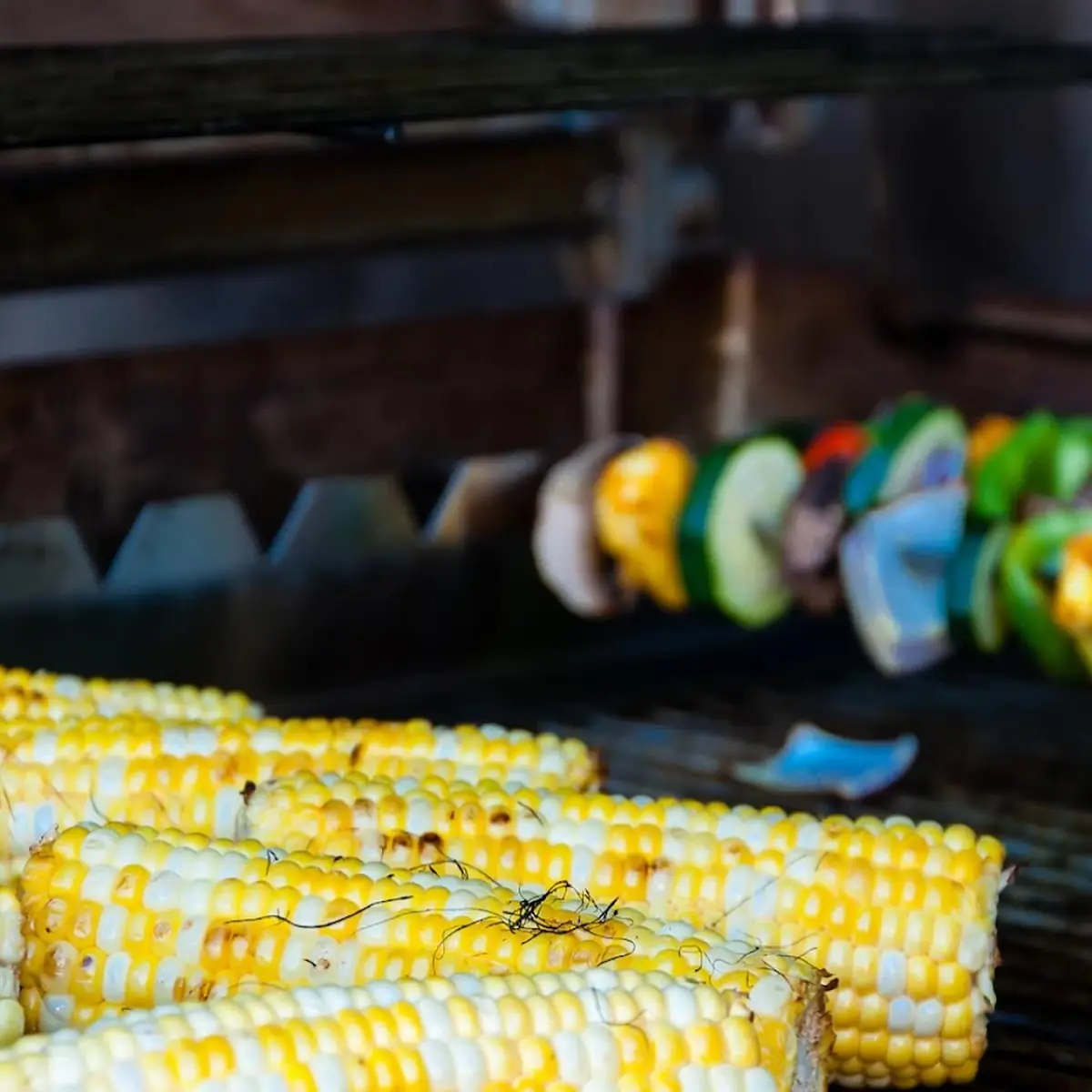 Kids Grilled Veggie
