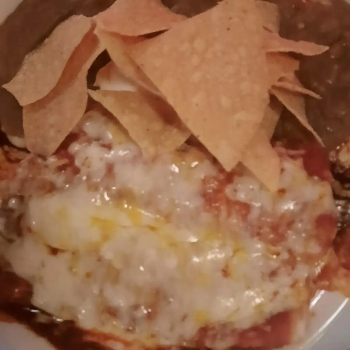 Carnitas Enchiladas
