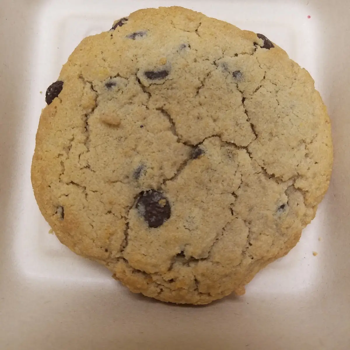 Chocolate Chip Cookie