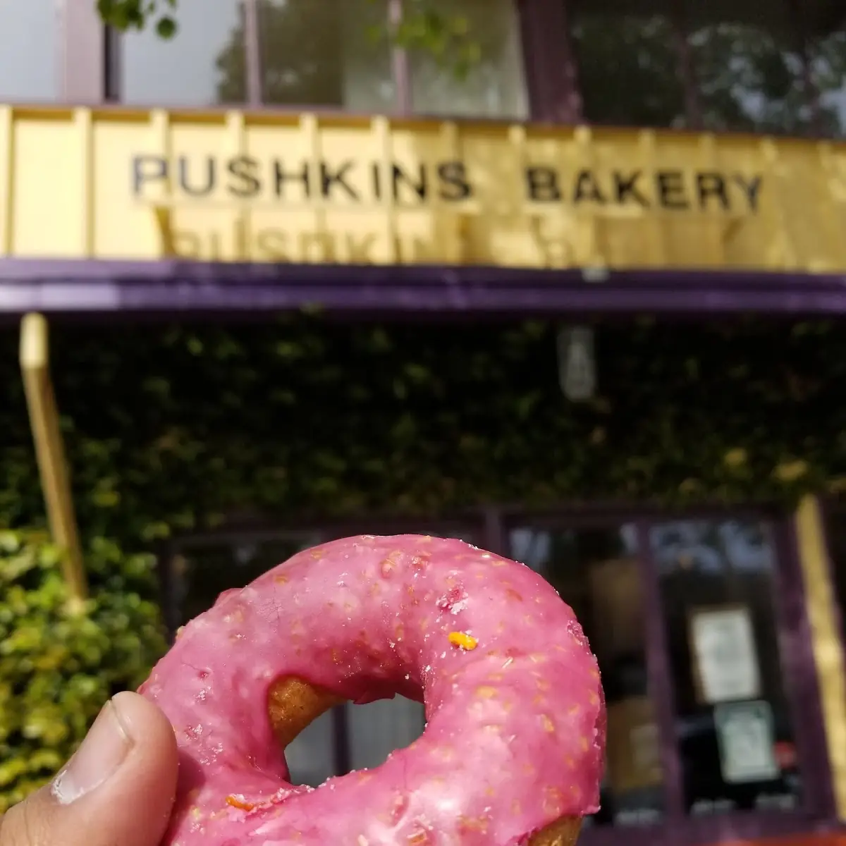 Doughnut