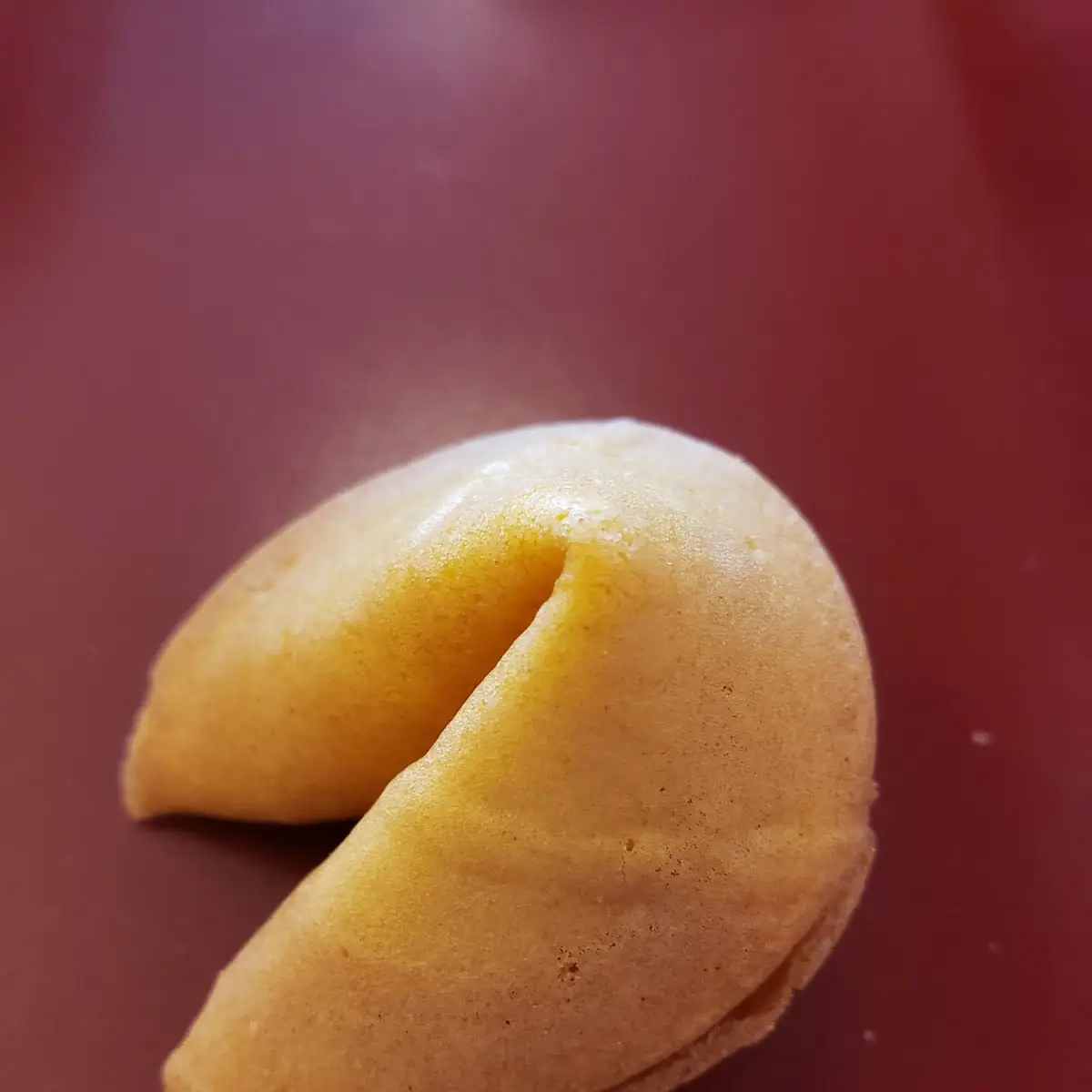 Fortune Cookie