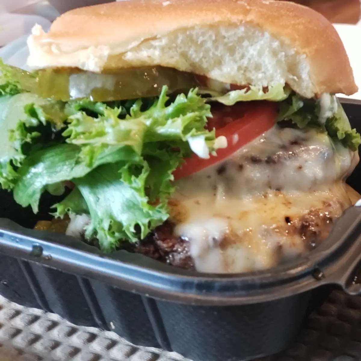 Double Cheeseburger