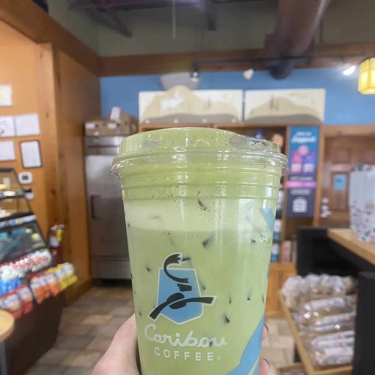 Iced Matcha Latte