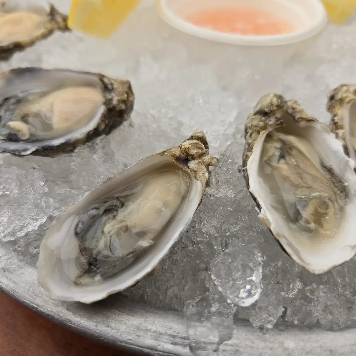 Dozen Oysters