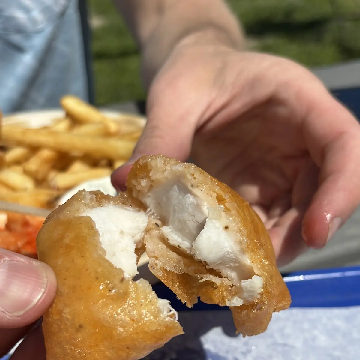 Fish Filet