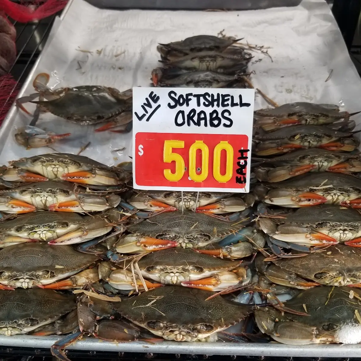 Soft Shell Crabs