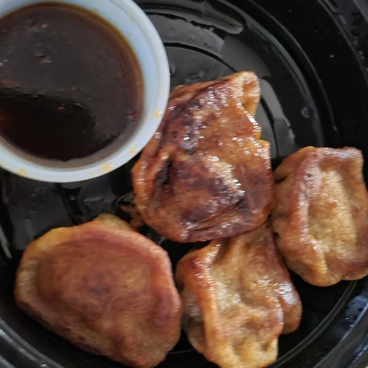 Pan Fried Dumplings