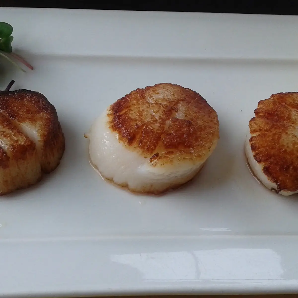 Seared Scallops